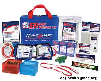 aspca dog emergency kit
