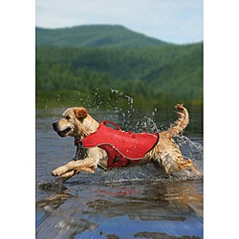 dog life jacket