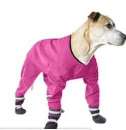 muttlucks water repellent suit