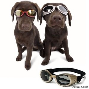 sunglasses for dogs sunglasses buying and size guide sunglasses for dogs sunglasses buying and size guide