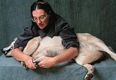 dog nail clipping - 228px x 127 px - example 2