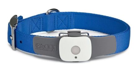 gps tracking device for dogs tracking device reviews gps tracking device for dogs tracking device reviews