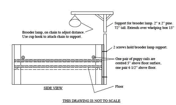 whelping box plans bottom