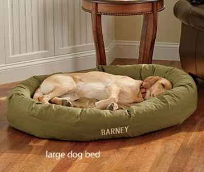Chewproof Dog Bed Reviews
