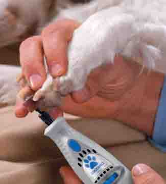 dog nail grinder - 325px x 361px - example 2
