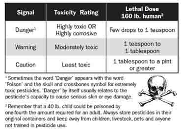 toxic to dogs