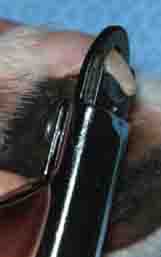 trim dog legs - 161px x 257px - example 7