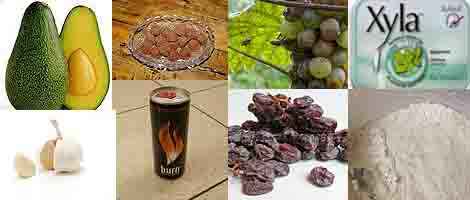 food poisonous to dogs