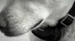 Garmin GTU 10