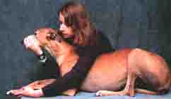 hold down dog during nail trimming - 242px x 140px - example 4