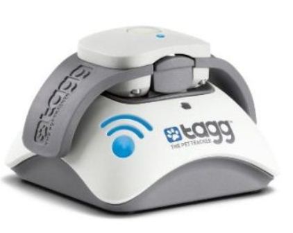 tagg pet tracker