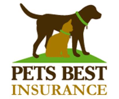 dog health insurance policies