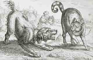 Illustration: Dog and Cat Fight Illustration: Dog and Cat Fight