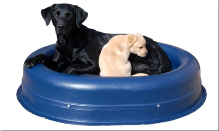 Tuffies dog beds amazon clearance