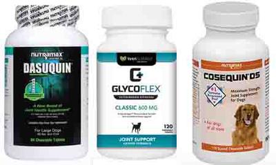Recommended Dog Joint Supplements