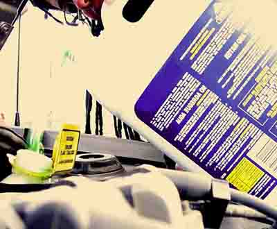 Dog Poisoning Example 3 - Antifreeze Dog Poisoning Example 3 - Antifreeze