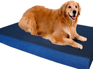 Orthopedic Dog Bed - Example 7