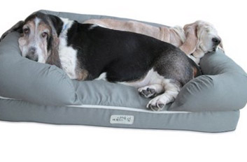 Dog Bed Amazon - Bolster Model