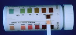 Dog Blood Glucose Test: Positive