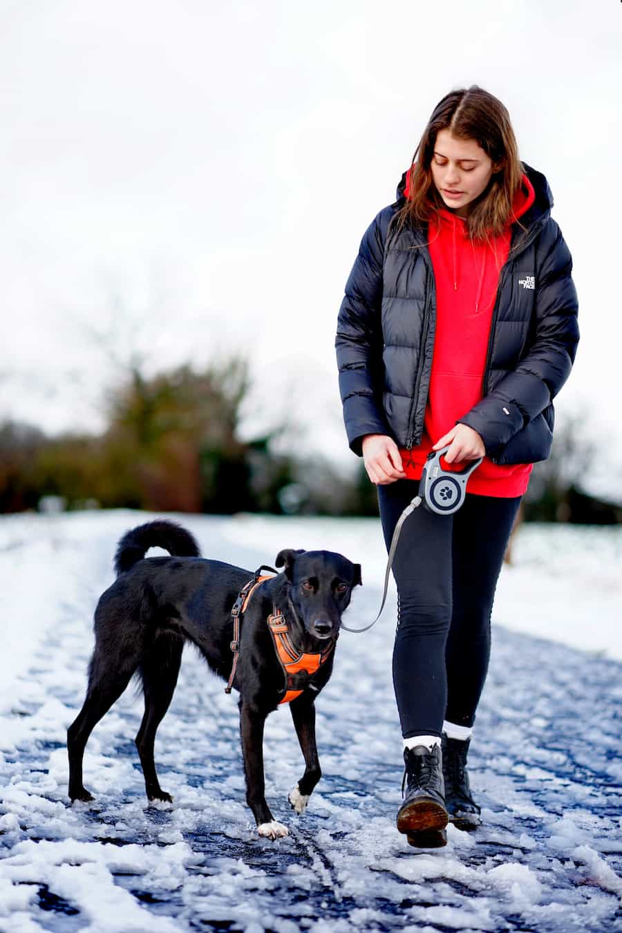 woman and dog on walk