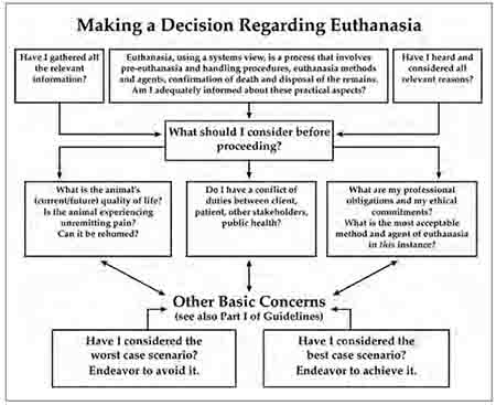 Dog Euthanasia Decision Matrix - AVMA