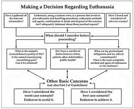 Dog Euthanasia Decision Matrix - AVMA Dog Euthanasia Decision Matrix - AVMA