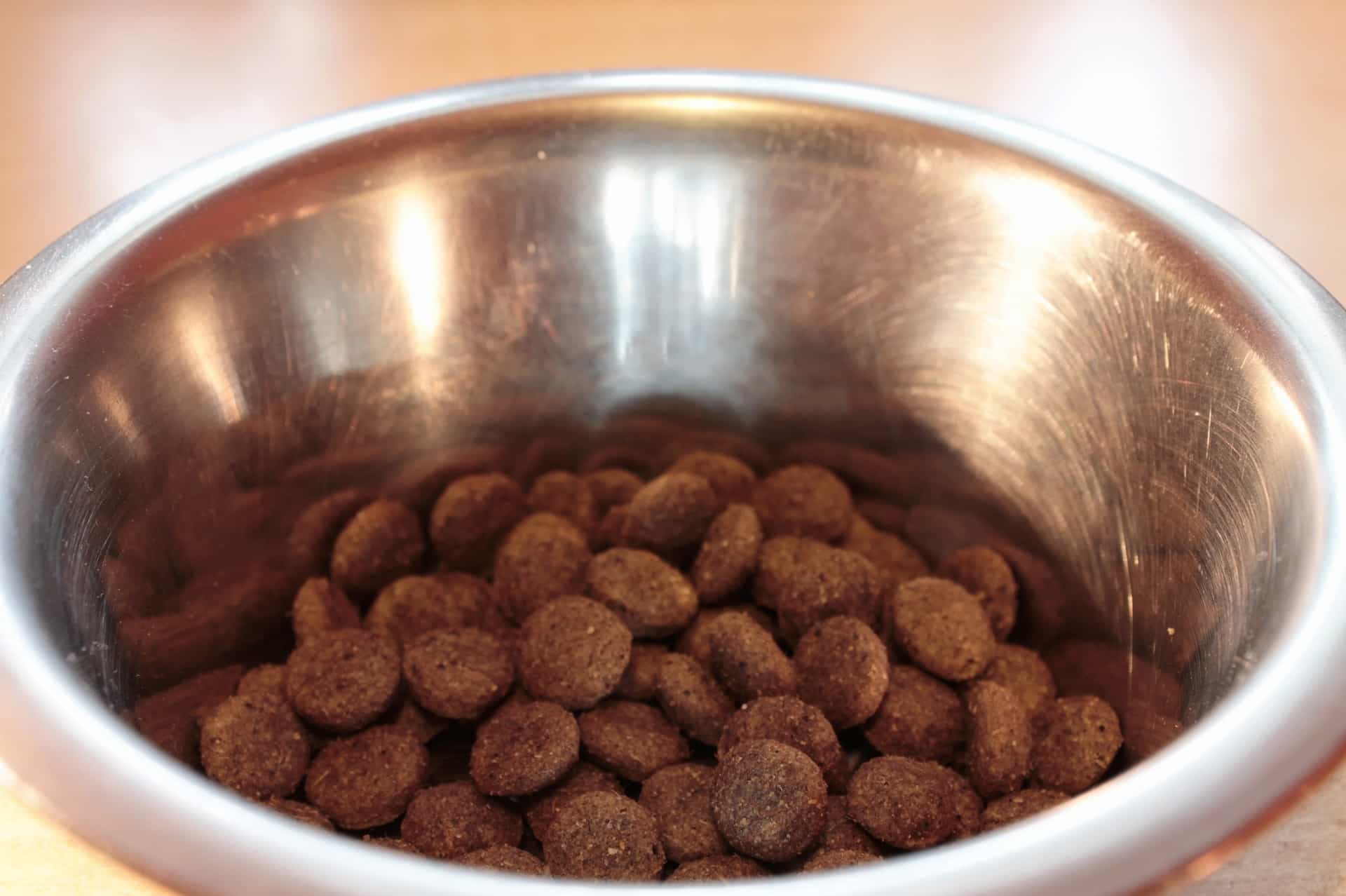 dog food bowl dog food bowl