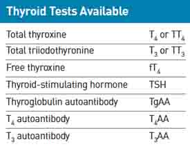 Dog Hypothyroidism Tests