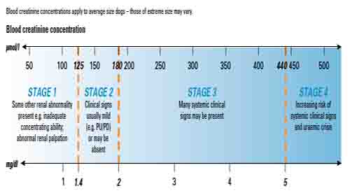 Dog Kidney Failure Stages - Table 1