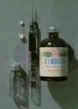Dog Pain Killer Morphine Dog Pain Killer Morphine