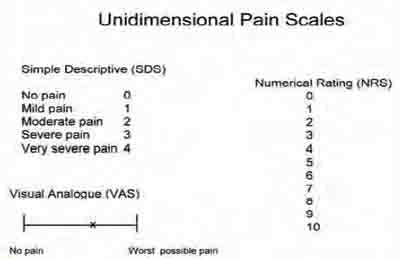 Dog Pain Scale