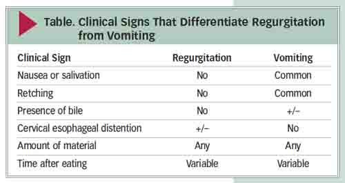 how can i tell if my dog has regurgitated instead of vomiting