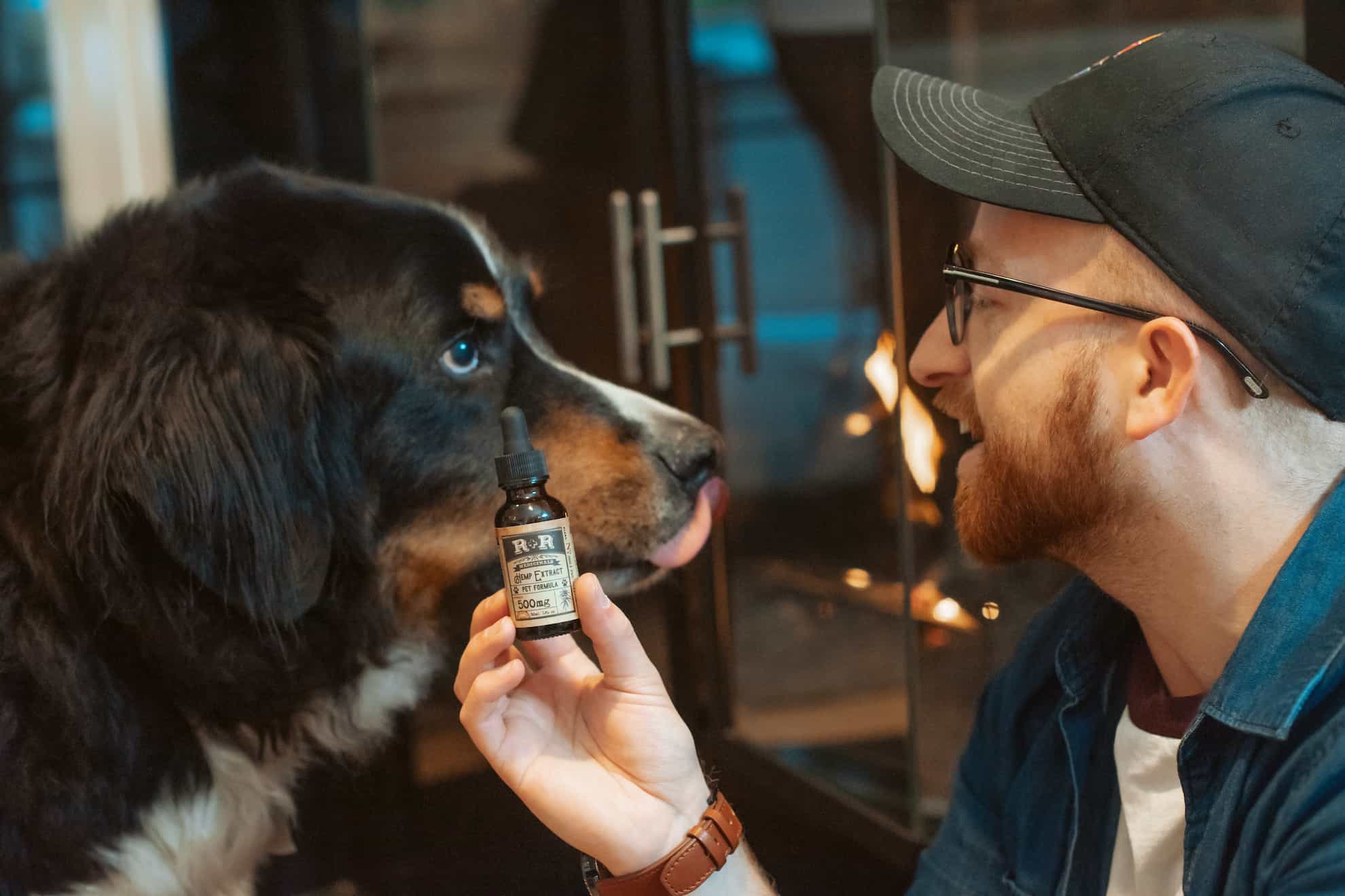 dog with owner holding medicine bottle