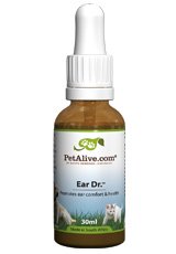 Dog Ear Infection Medicine