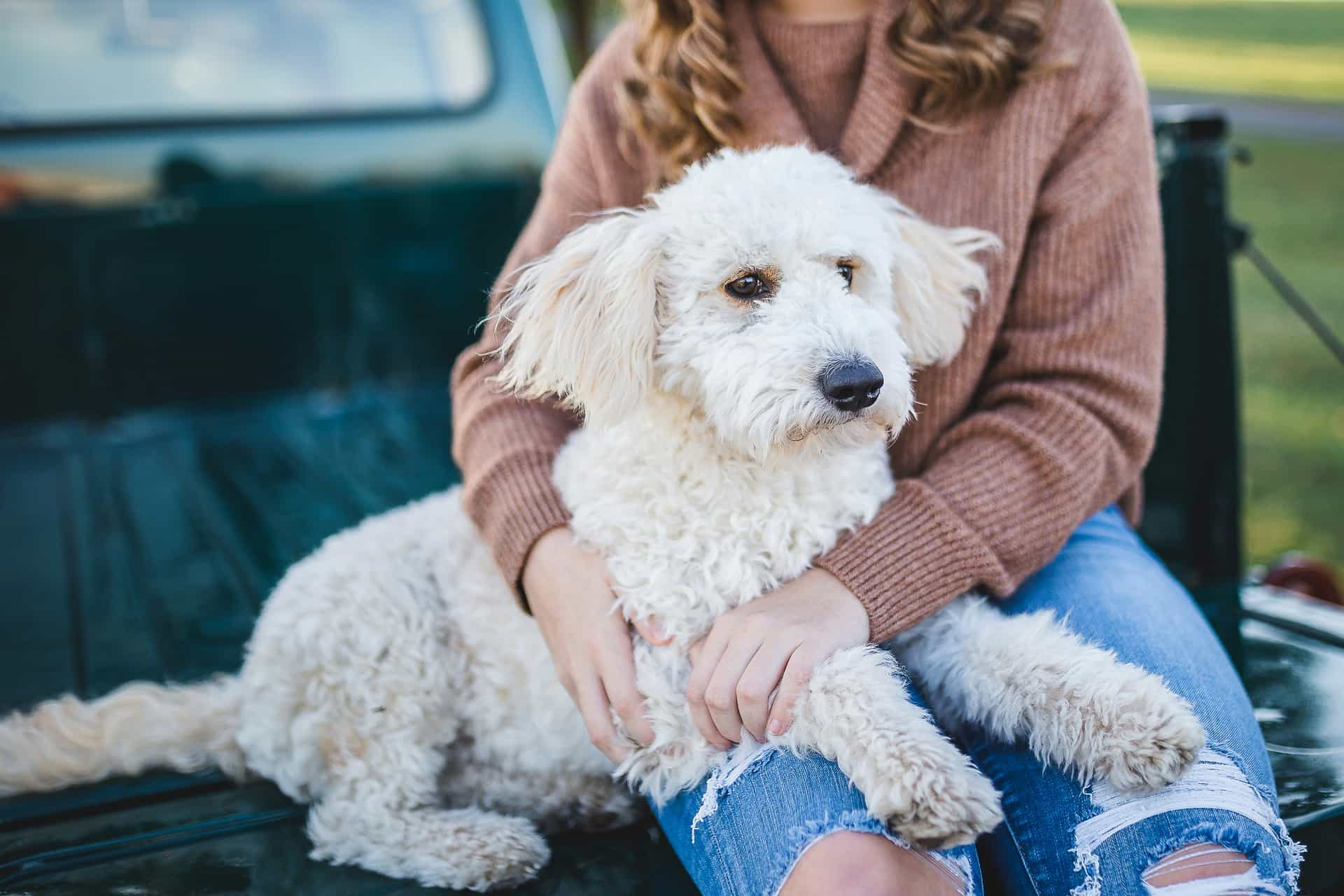 woman with emotional support dog