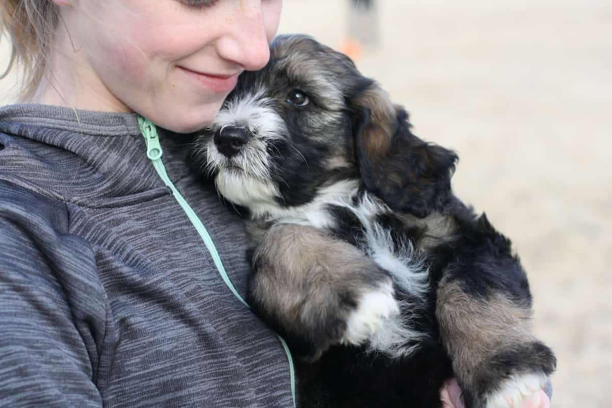 young girl and happy dog