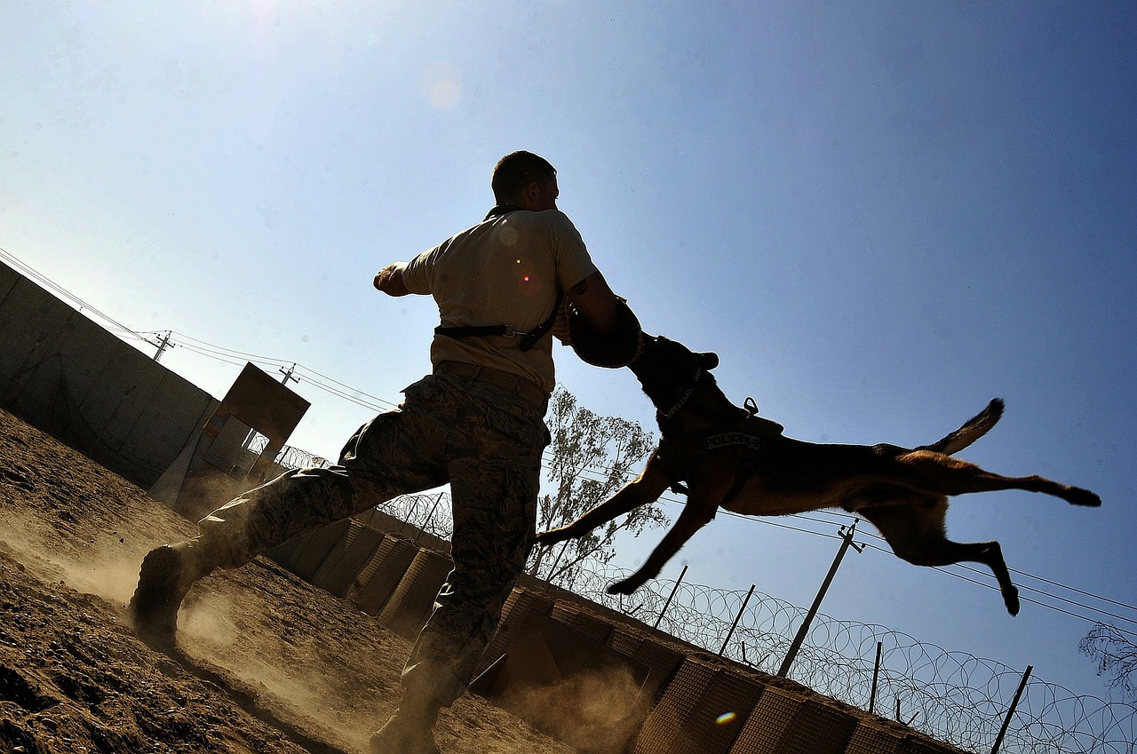 man with jumping dog