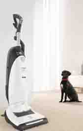 Miele Upright to Vacuum Dog Hair