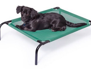 Outdoor Dog Bed - Example 1