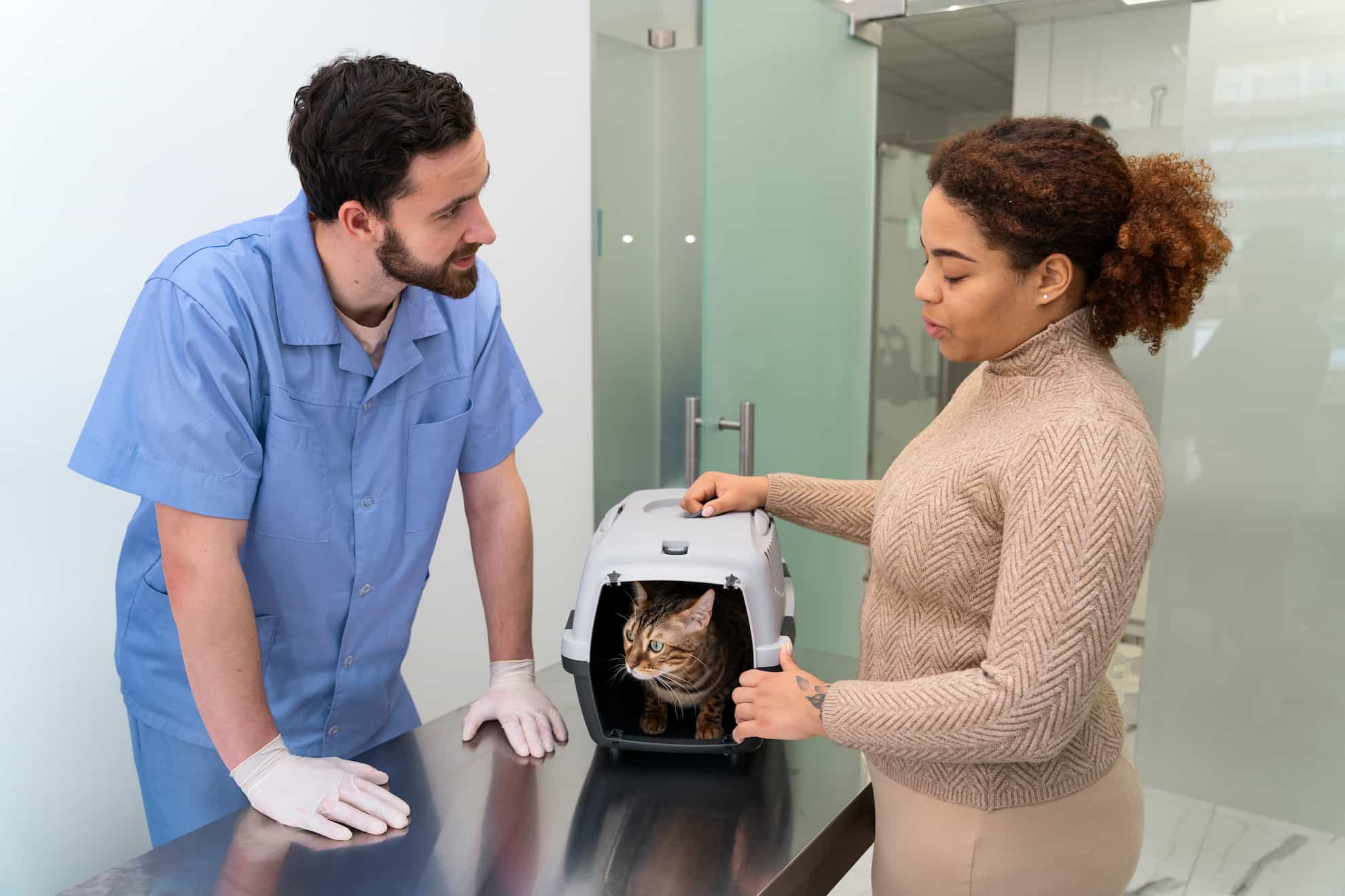 vet talking with cat owner in exam room