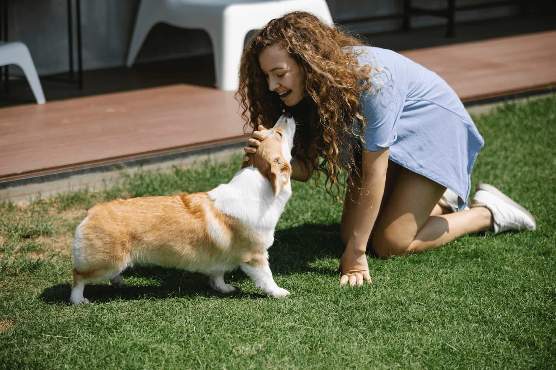 dog with girl