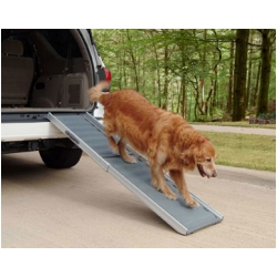 dog ramp