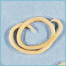 Canine Parasites: Roundworm Canine Parasites: Roundworm