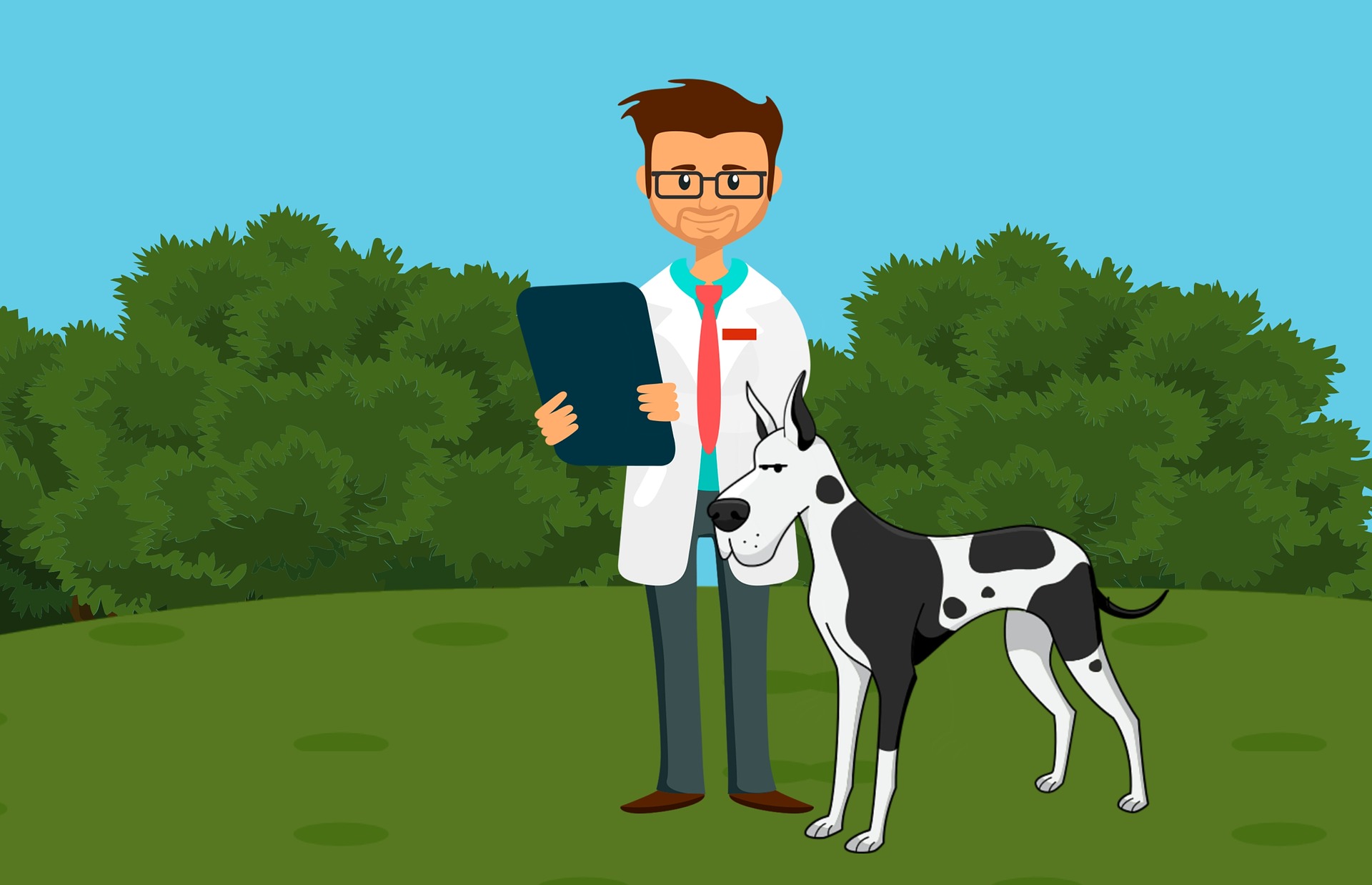 illustration of veterinarian and dog