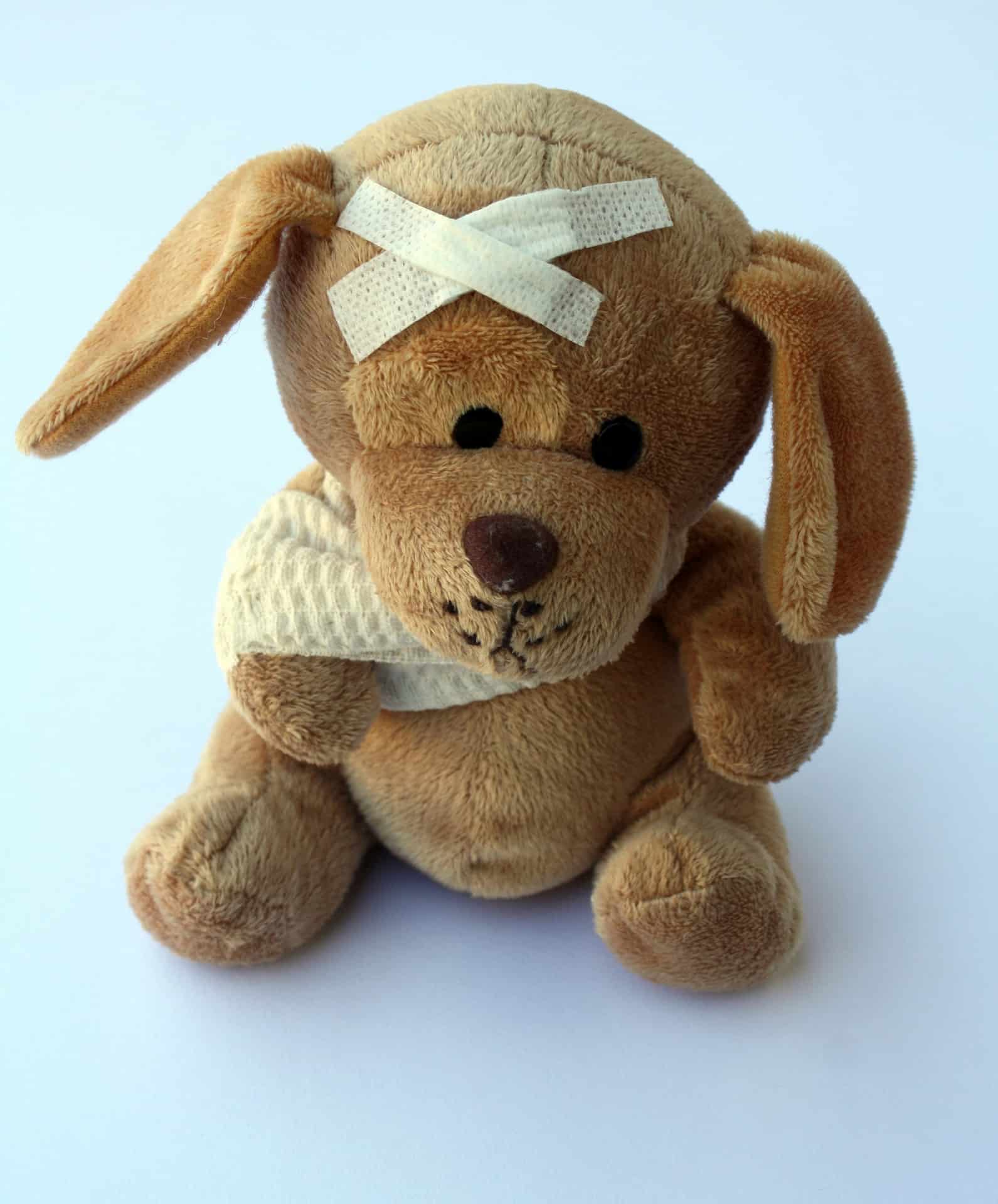 stuffed dog with bandages
