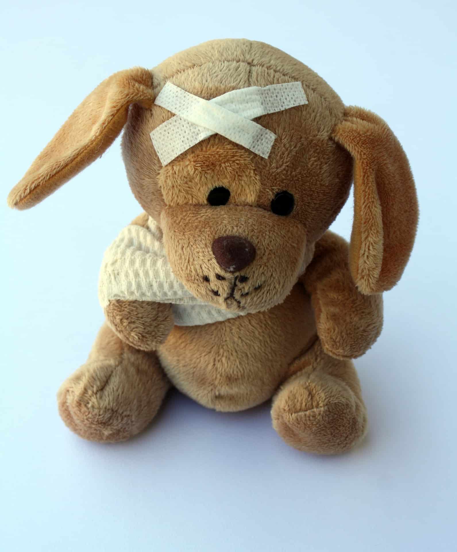 stuffed dog with bandages stuffed dog with bandages