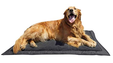 inflatable outdoor dog air bed