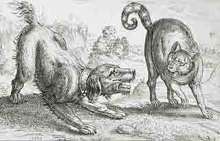 Illustration: Dog and Cat Fight