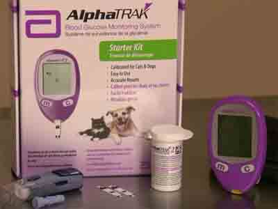 Diabetes Mellitus in Dogs - Blood Glucose Monitoring Kit