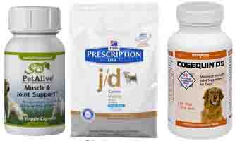 Dog Arthritis Medication: Over-The-Counter Options are Available Dog Arthritis Medication: Over-The-Counter Options are Available